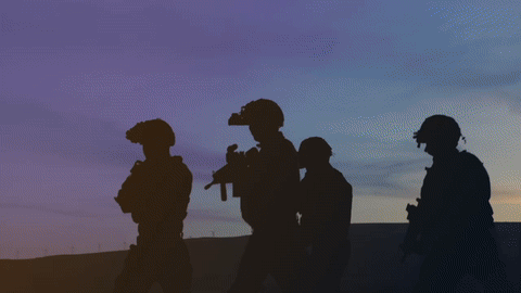 Animated preview