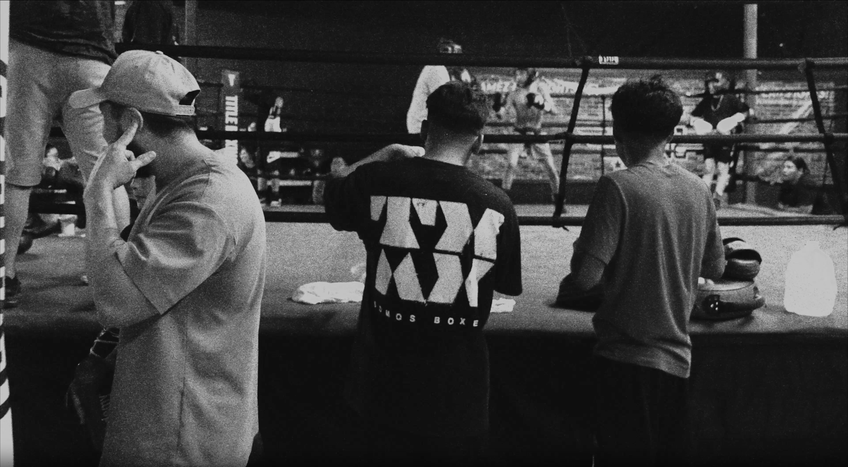 TXMX BOXING